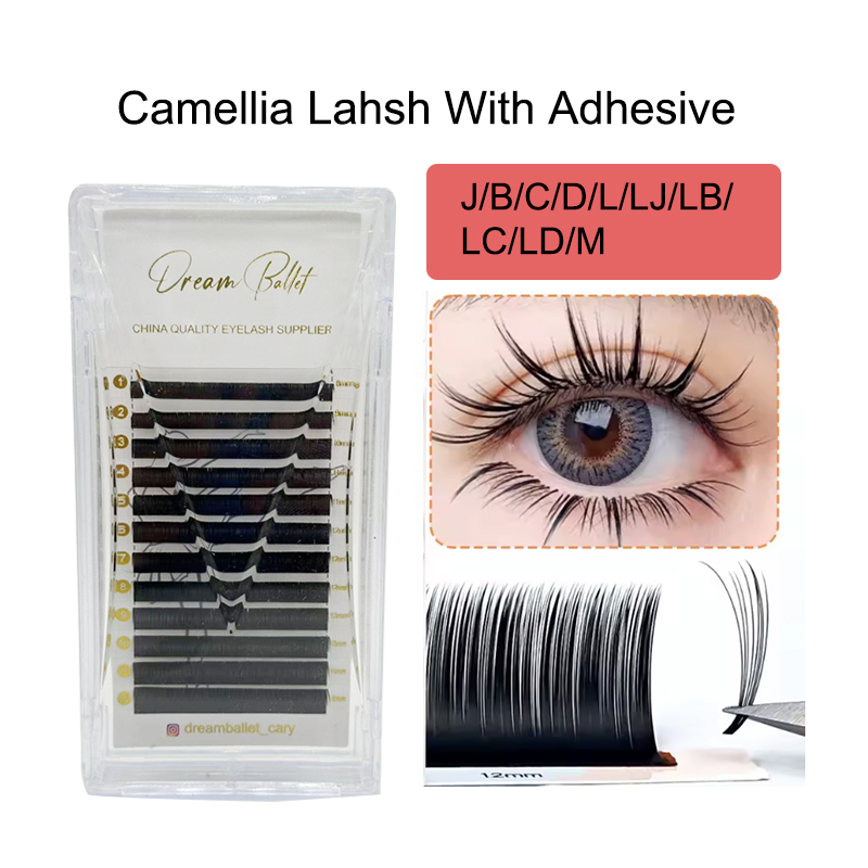Eyelash Extension Examples - dream ballet Camellia Lashes with Adhesive