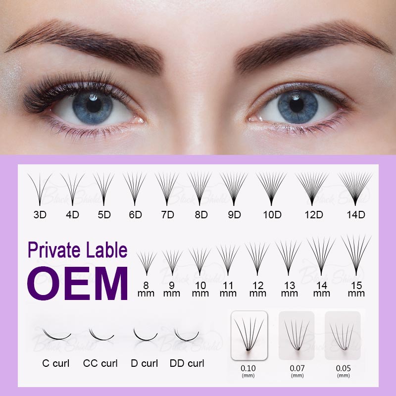 500 Fans Promade Volume 3D-14D - đánh giá và giá Eyelash Extension Human Hair