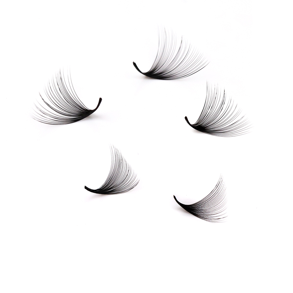 Lashprofessor XL Tray 3D 4D 5D - đánh giá và giá Eyelash Extension Human Hair