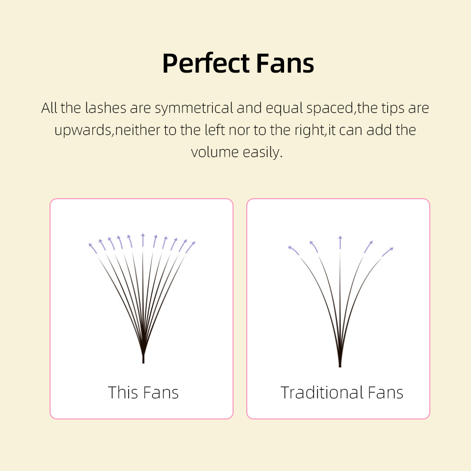 Lashprofessor XL Tray 3D 4D 5D - đánh giá và giá Eyelash Extension Human Hair