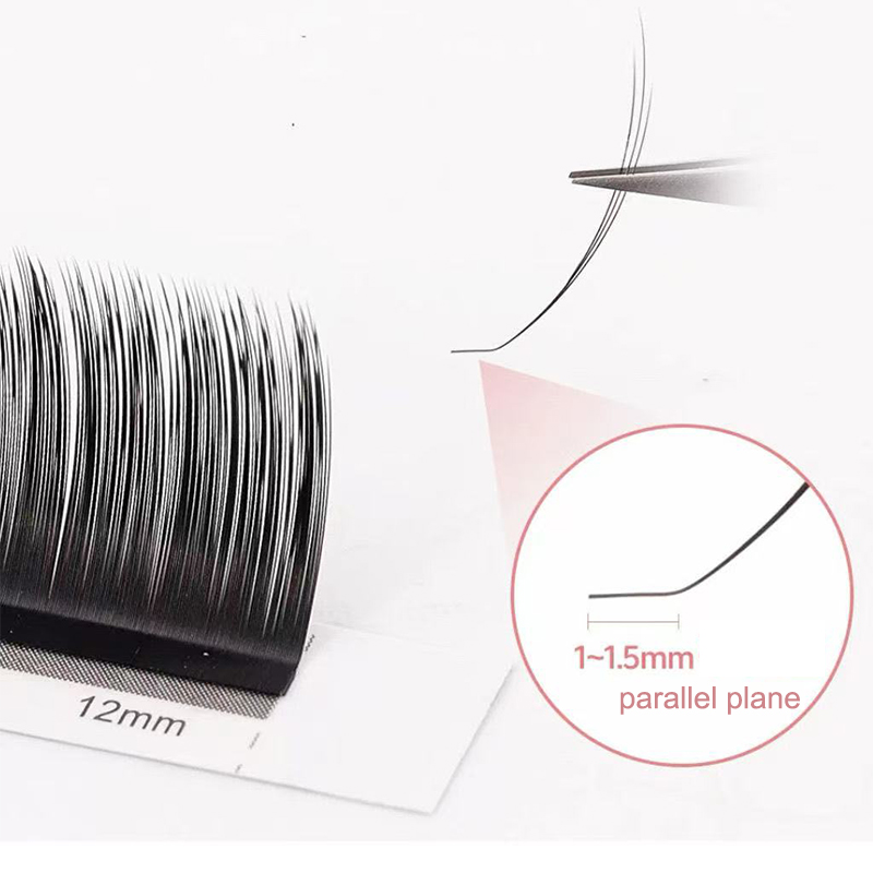 dream ballet Camellia Lashes w - đánh giá và giá Eyelash Extension Examples