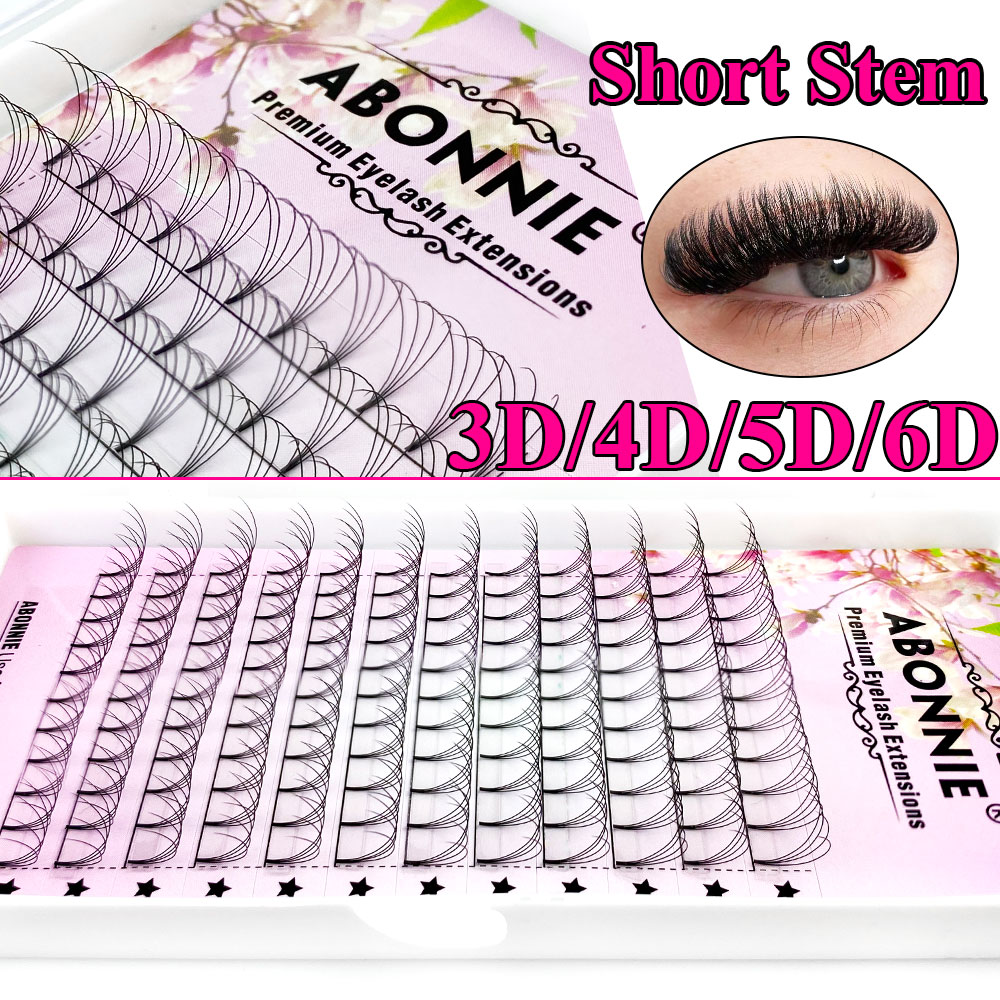 Abonnie Thân Ngắn Premade Ngườ - đánh giá và giá Eyelash Extension Course