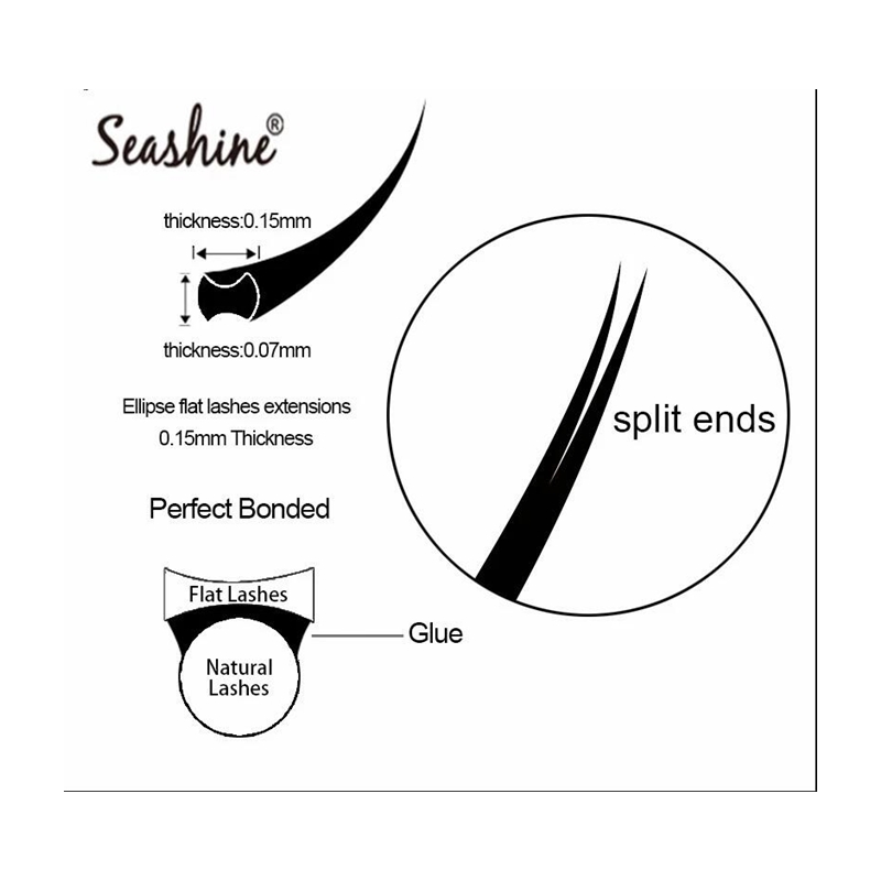 Seashine Hình Elip Dẹt Hàng Mi - đánh giá và giá Eyelash Extension Class