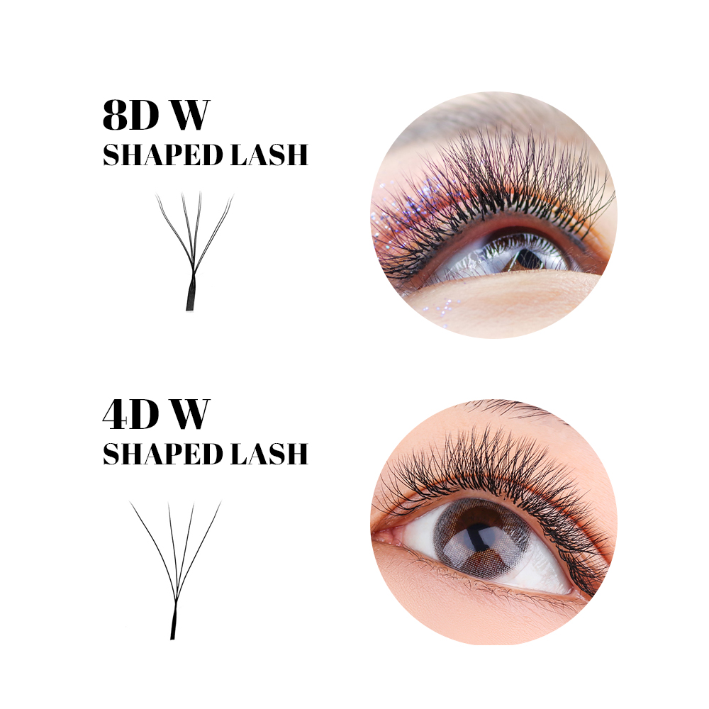 8D W Hàng Mi 2 Lớp 4D W Hình L - đánh giá và giá Eyelash Extension Human Hair
