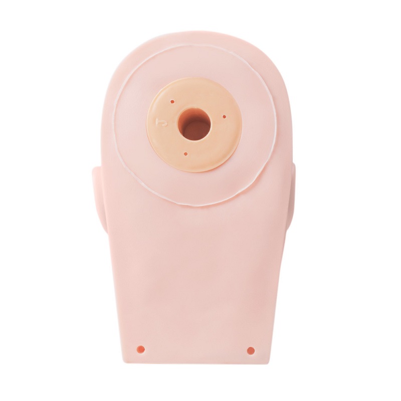 Eyelash Extension Training Hea - đánh giá và giá Eyelash Extension Model